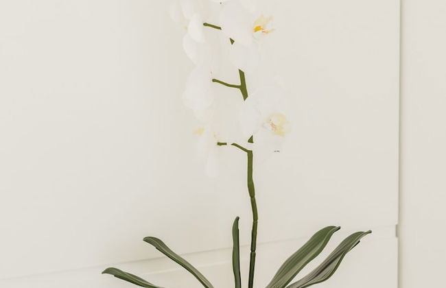 Azzurra, Capri Center - Photo 31