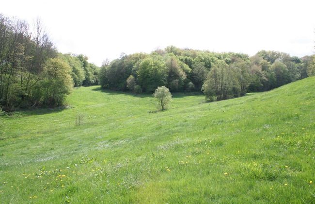 Idyllic Studio near Forest - Foto 39