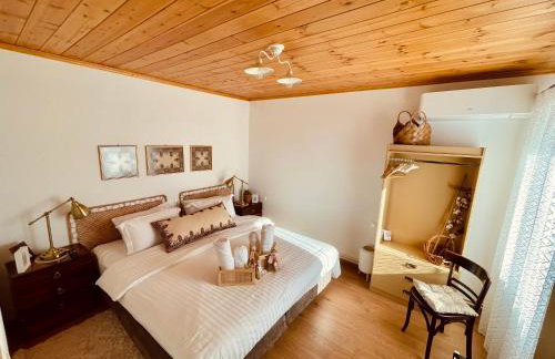 Casa Delicosta- 2 Flat Country house with garden, 15 min from Trikala - Foto 16