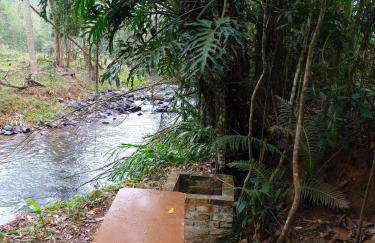 Sitio Casa na Árvore - Photo 7