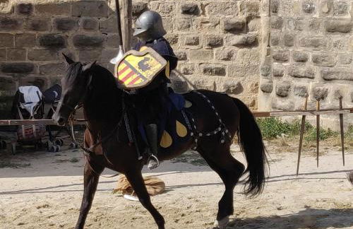 Appartement L'Oliveraie - La Cité plein les yeux - Foto 44