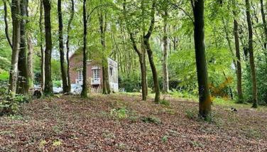 LA FEUILLÉE, Charmante Maison au Bois de Cise - Foto 2