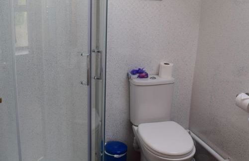 Glascoed Coach House Whitland - Foto 8