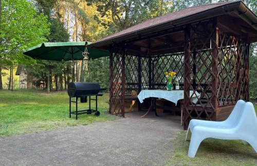 Leśny Zakątek - Foto 30