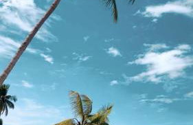 Villas Patacho G 102 - Milagres - Foto 47