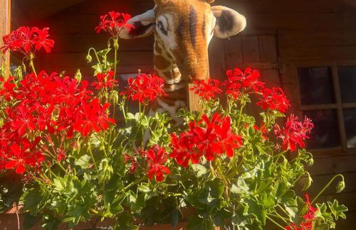 Le Coccole Del Trasimeno - Foto 30