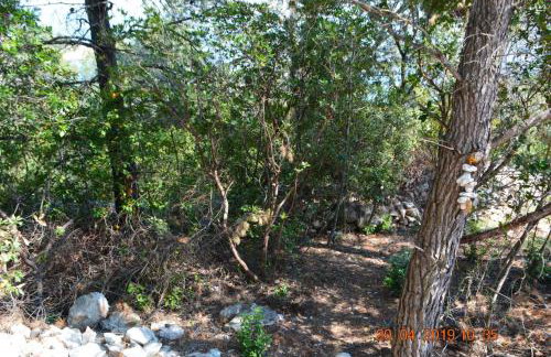 Dreamlodge - Luxe Dalmatian Villa, private pool, parking, mooring, breathtaking sea & mountain view, at 150 m from idyllic private beach - Foto 72