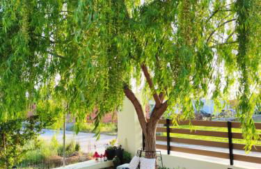 Willow Home - Photo 8