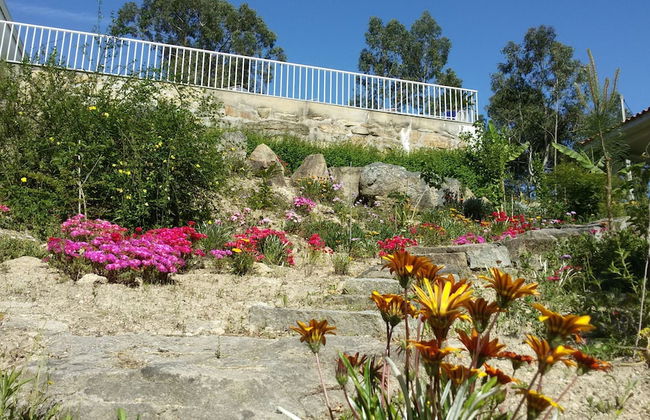 Serrado de Bouças - Foto 70
