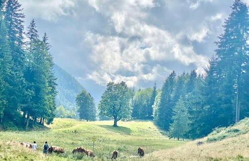 Loft mit Dachterrasse - Foto 34