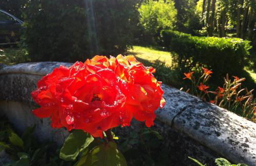 Loire Valley Medieval Getaway - Photo 68