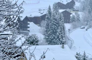 MAISON OLIVIER charmant appartement montagne - Foto 3