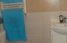 Waszczyszynówka Bieszczady - Foto 27