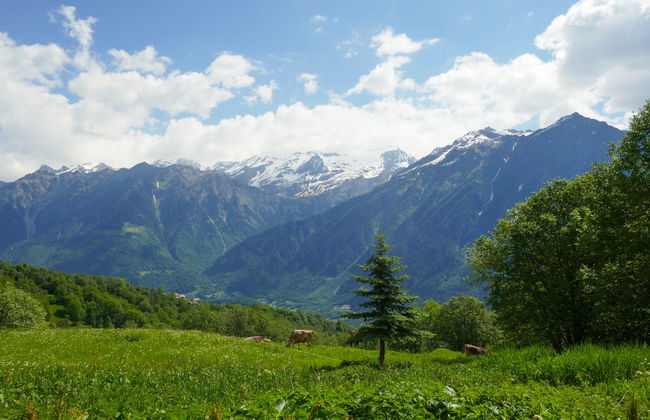 Rustico Tecc Berbis - Photo 19