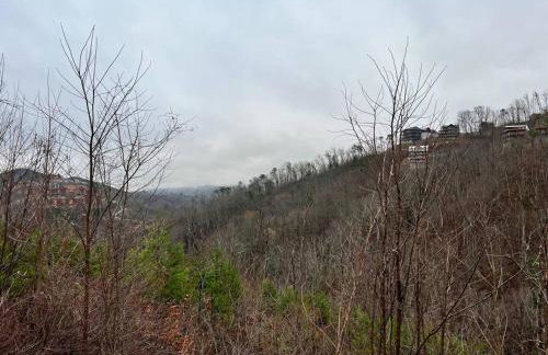 * * 4 Master Bedrooms, Views, Theater, Arcade, EVC - Photo 35