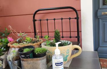 Metohi Georgila - Foto 6