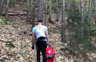 Villa Silvia - Photo 53