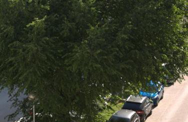 Mint Apartment - Foto 39