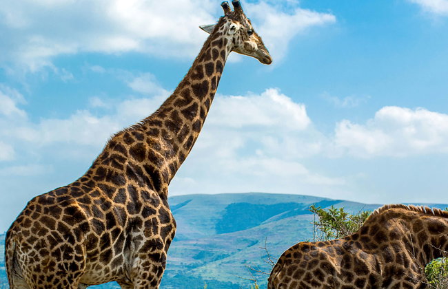 Tour de 9 días por Lesoto y Sudáfrica finalizando en Durban - Foto 1