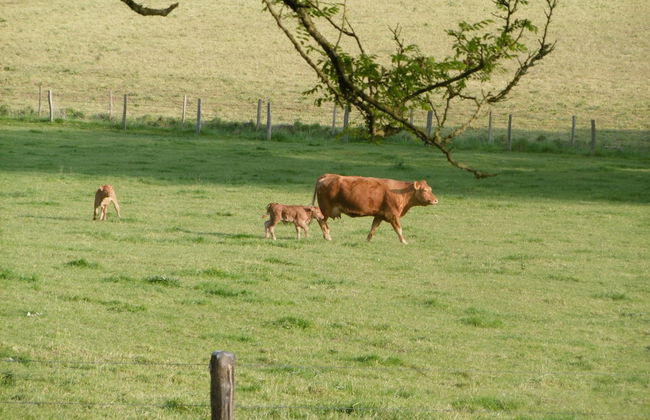 Charme Spa dans un domaine d'élevage - Foto 20
