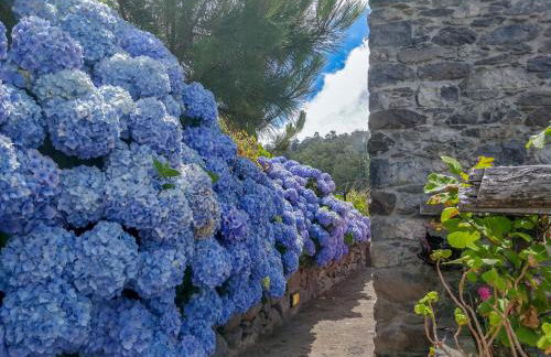 Achadinha - Mountain Cottage - Photo 19