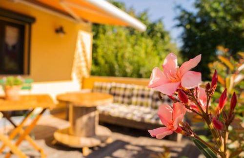 Apartment Sonnenschein - Foto 1