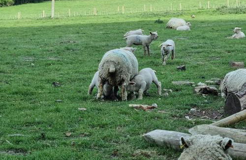 Monk House - Historic Foundation Invites guests - Foto 21