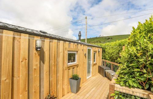 Caban Cwtch The Cosy Cabin - Foto 26