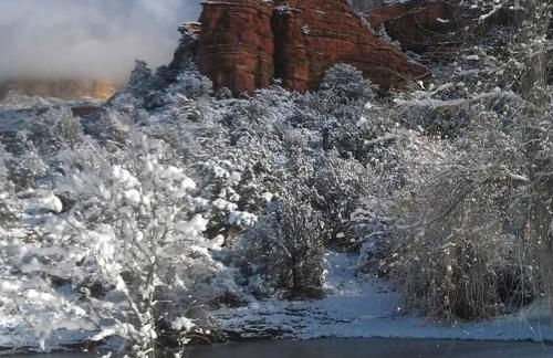 Tiny home near Grand Canyon sleeps 5, epic views! - Photo 31