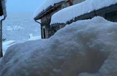 Large family - Foto 34