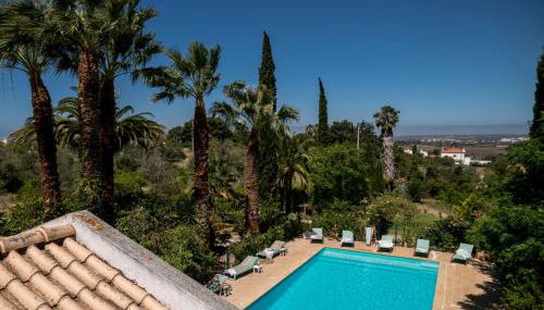 Fazenda do Sul - Foto 3