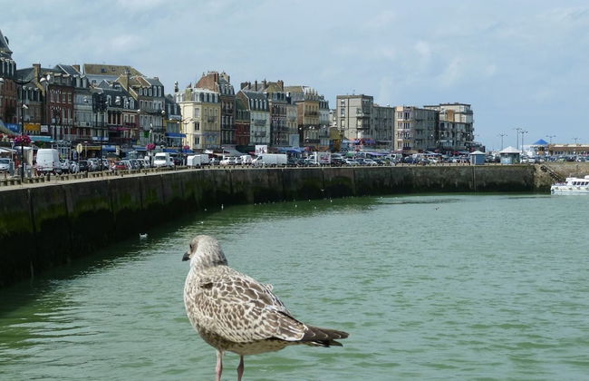 Townhouse Near Bay of Somme and Norman Beaches - Foto 24
