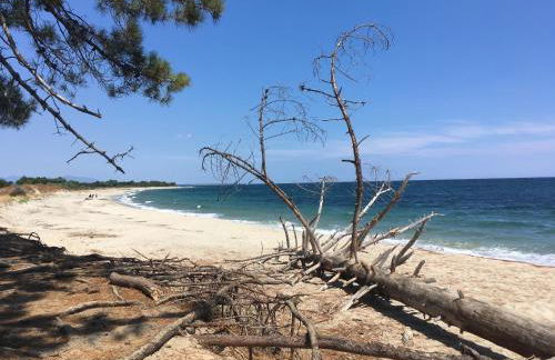 Logement 5 mn de la mer Milla 2 - Foto 13