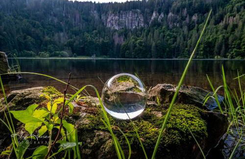 Feriendomizil am Rössleberg, Hinterzarten - Foto 23