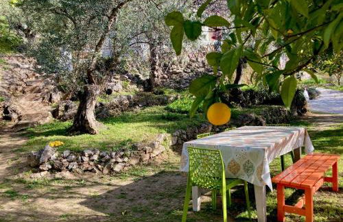 Cabaña La Pura Vida Yunquera - Foto 16