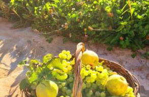 La Era de Lardiés - Photo 28