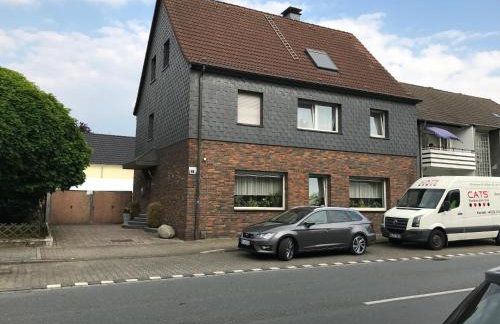 CATS Dreams - Foto 18