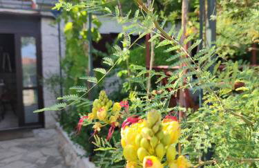 SUMMER TIME - Photo 26