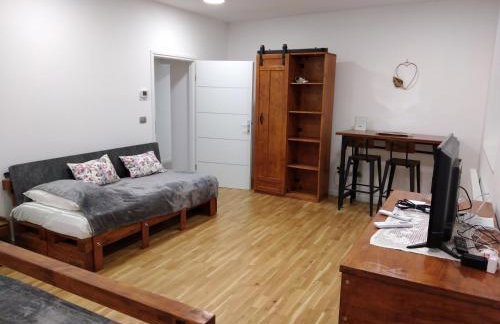 GAG Apartment in TRAM zone with FREE PARKING in front of the house - Photo 8
