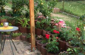 Oase der Ruhe 1 - Foto 12