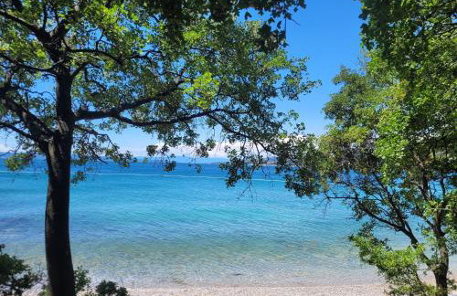 Apartmani Sanja - Foto 36