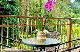 Lindo e aconchegante com lareira cond c/ piscina - Foto 6