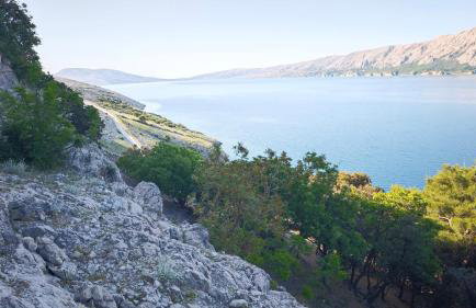 Apartments Viva - Foto 42