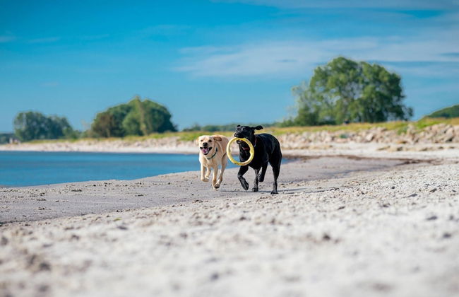 Holiday Home in the Baltic Sea Resort - Foto 42