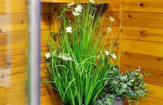 Rural Log Cabin in Snowdonia near Coed y Brenin by Seren Short Stays - Foto 44