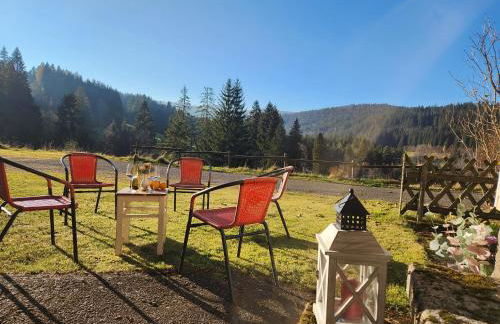 Alte Schmiede - Foto 22