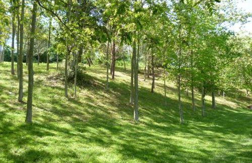 Agriturismo Vivace - Foto 6