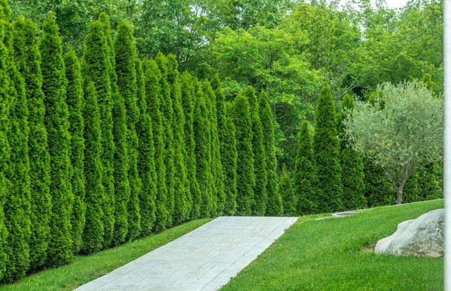 Villa Casa Brazzana - Foto 44