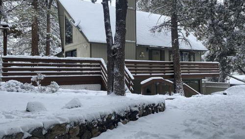 Quail Run Cabin 4,000 Sq.Ft Largest & Most Beautiful House On The Mountain - Foto 3, pet friendly