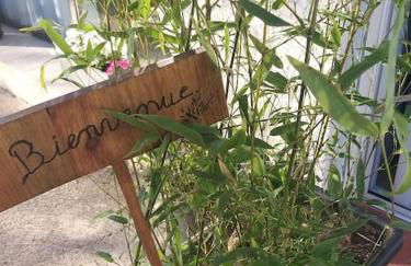 Rez de jardin cosy avec terrasse fleurie - Foto 7